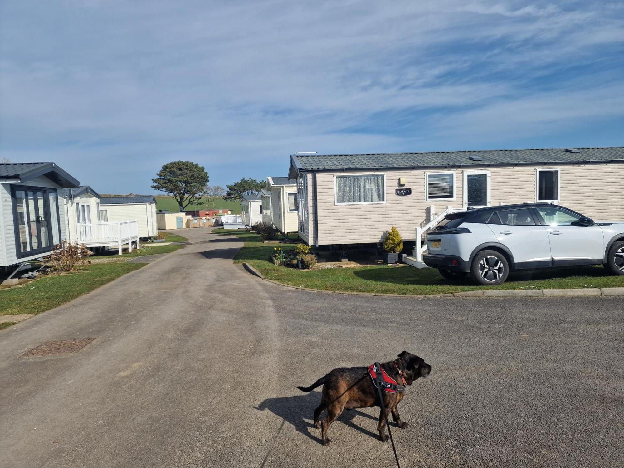 ホテル Durdlee Door, D27, Main Rd, West Lulworth, Wareham Bh20 5Pu エクステリア 写真